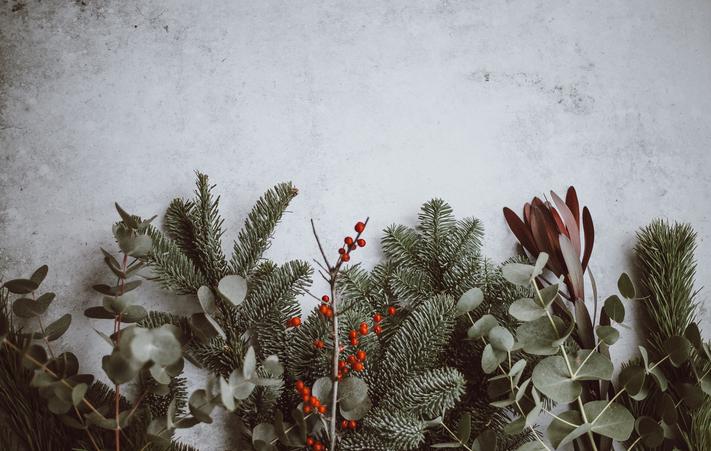 Photo by Annie Spratt on Unsplash https://unsplash.com/@anniespratt