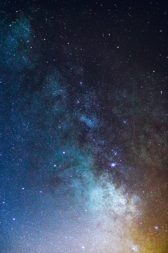 Photo by Andy Holmes on Unsplash https://unsplash.com/@andyjh07